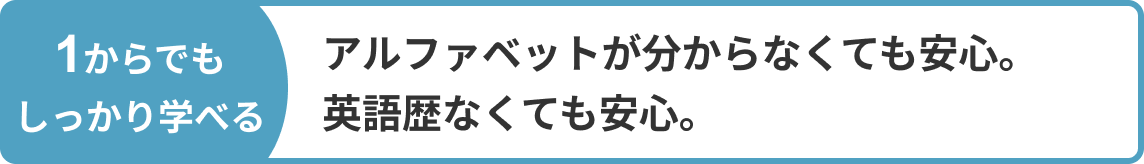 FV画像